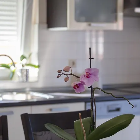 Appartement Moderne Mia